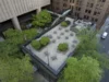 DJI_20260503080829_0082_D